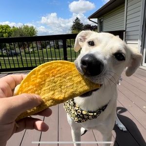 Meet your Posher, Breana